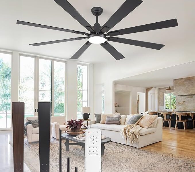 Ceiling Fan with Light