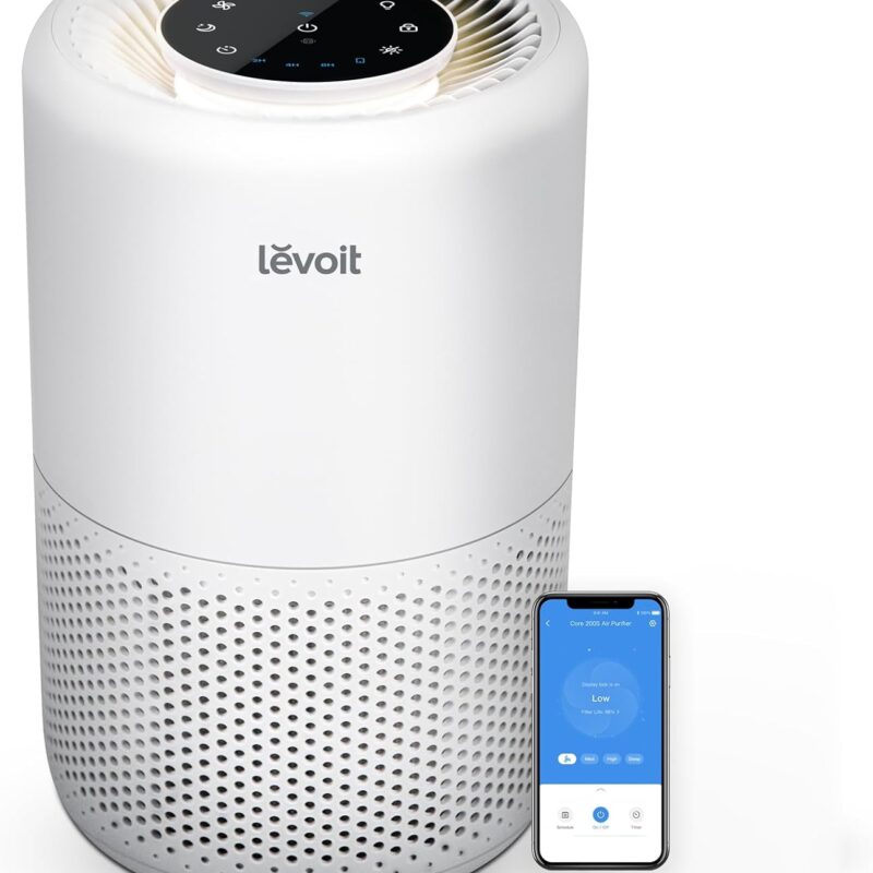 Smart Air Purifier with HEPA Filter
