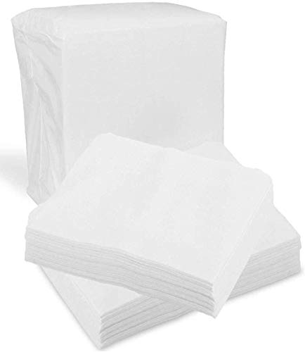 Ultra Soft Disposable Dry Wipes 100 Pack