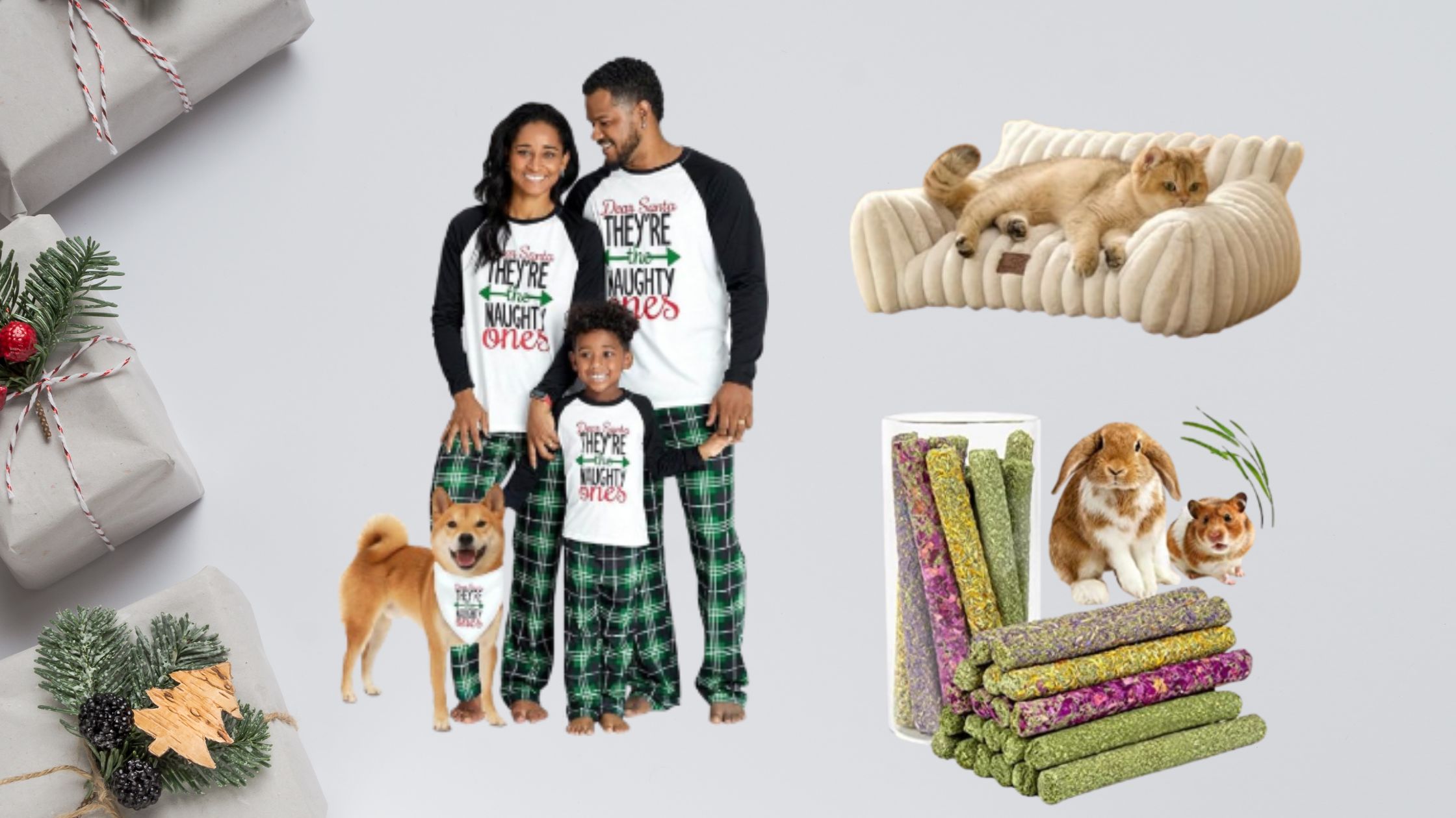 25 Best Amazon Pet Gifts for the Holidays (Because Pets Deserve Gifts Too!)